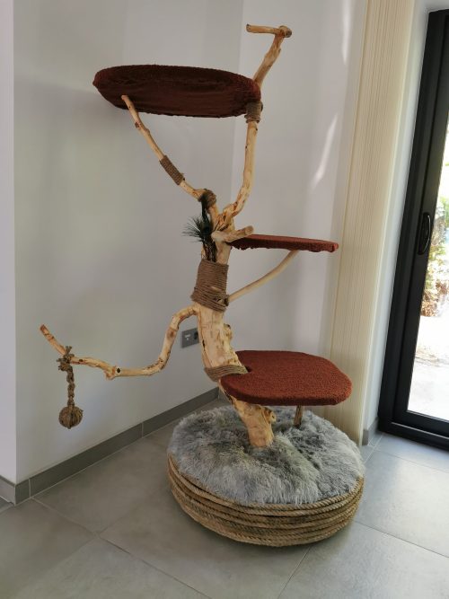 Arbre à chat en bois de poirier