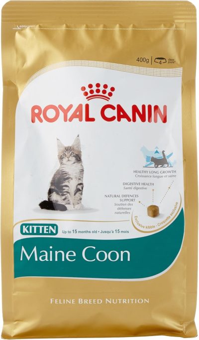 ROYAL CANIN MAINE COON KITTEN