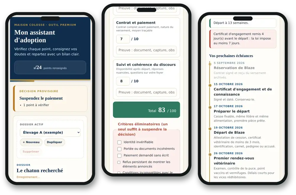 Trois écrans de l'assistant d'adoption : décision provisoire, grille sur 100 points et calendrier légal