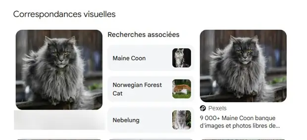 Recherche d'image inversée : la photo d'un site d'élevage suspect est une image libre de droits de Pexels