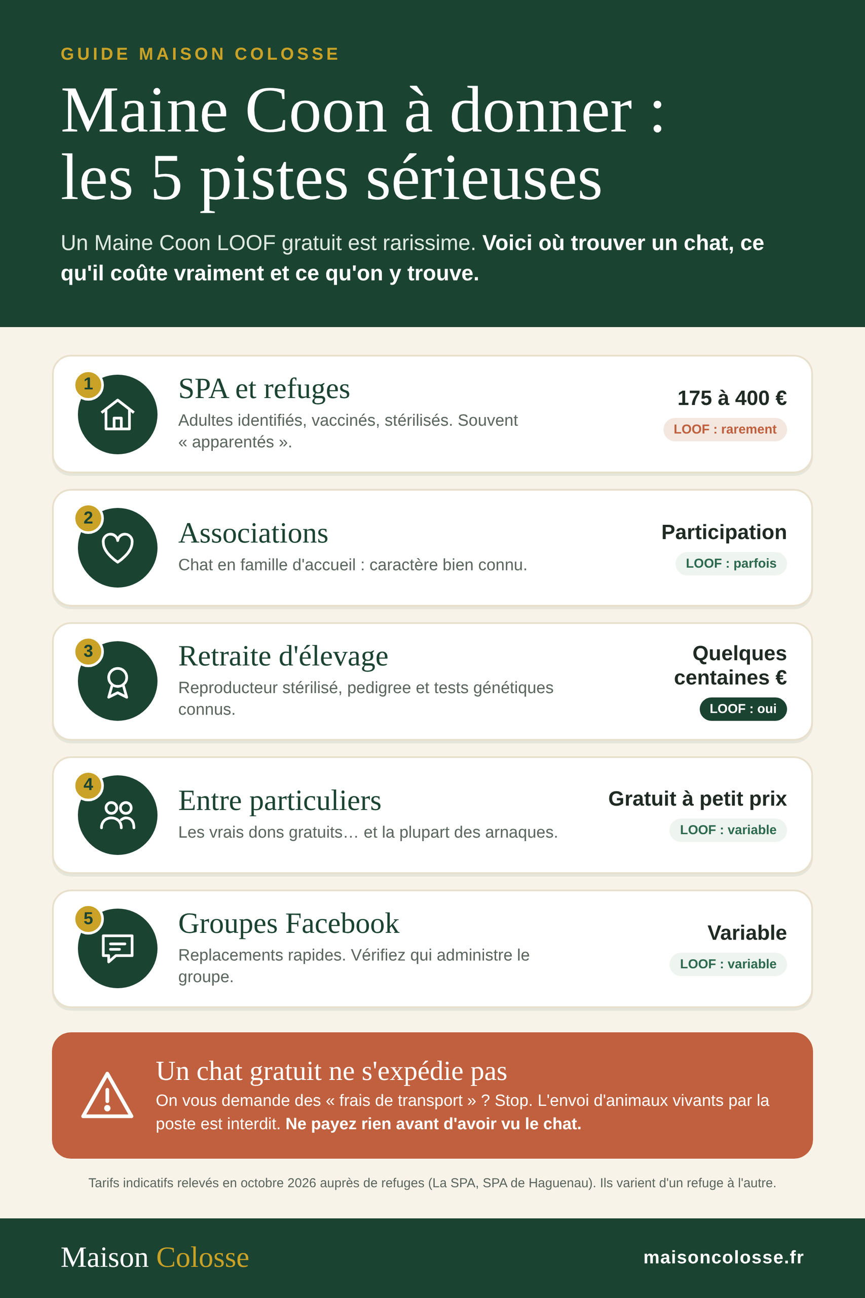Infographie des différentes pistes pour trouver un maine coon gratuit